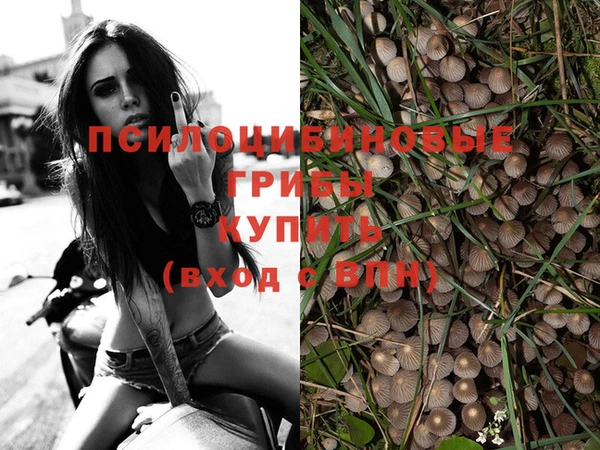 альфа пвп Семикаракорск