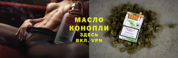 сатива Вуктыл