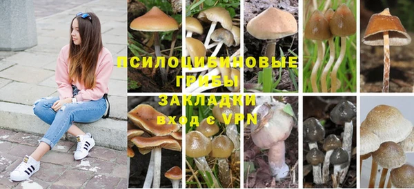 мескалин Грязовец