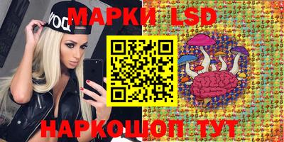 spice Балашиха