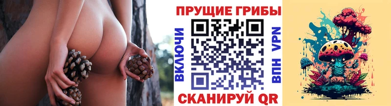 купить наркотик Братск Галлюциногенные грибы ЛСД