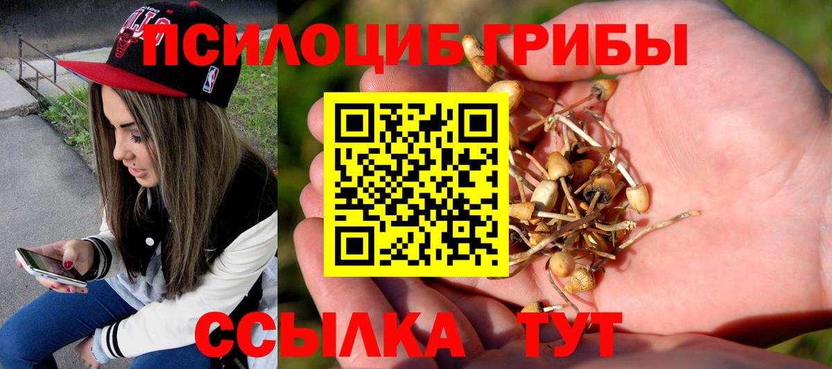 Галлюциногенные грибы MAGIC MUSHROOMS Братск